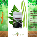 Moringa Oleifera: Beneficios