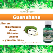 Guanabana: Beneficios sorprendentes