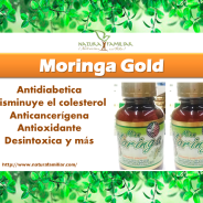 Moringa Gold