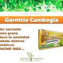 Garcinia Cambogia, una ayuda natural para perder peso.