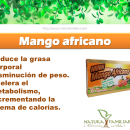 Mango Africano